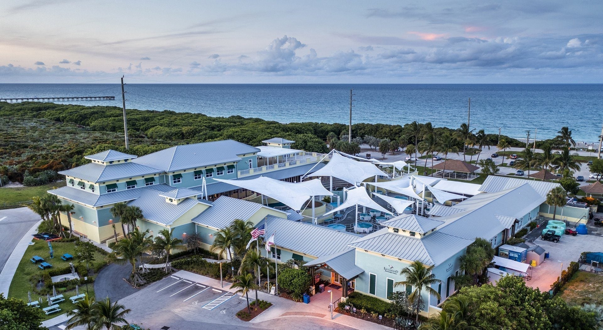 Inside a Sea Turtle Hospital: My Visit to Loggerhead Marinelife Center in Juno Beach